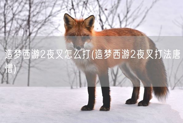 造梦西游2夜叉怎么打(造梦西游2夜叉打法唐僧)(图1) 造梦西游2夜叉怎么打(造梦西游2夜叉打法唐僧)(图1)