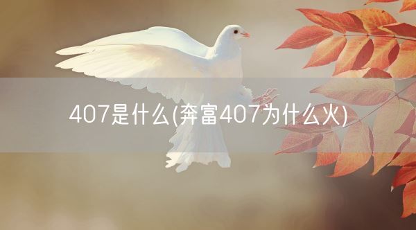 407是什么(奔富407为什么火)(图1)