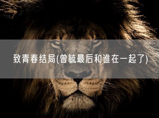 致青春结局(曾毓最后和谁在一起了)(图1) 致青春结局(曾毓最后和谁在一起了)(图1)