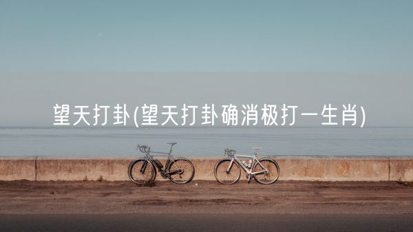 望天打卦(望天打卦确消极打一生肖)(图1) 望天打卦(望天打卦确消极打一生肖)(图1)