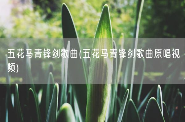 五花马青锋剑歌曲(五花马青锋剑歌曲原唱视频)(图1) 五花马青锋剑歌曲(五花马青锋剑歌曲原唱视频)(图1)