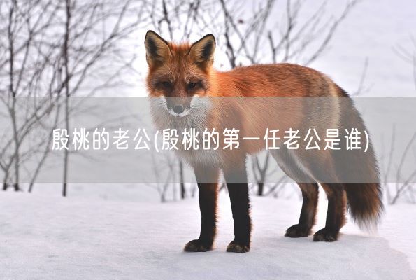 殷桃的老公(殷桃的第一任老公是谁)(图1) 殷桃的老公(殷桃的第一任老公是谁)(图1)