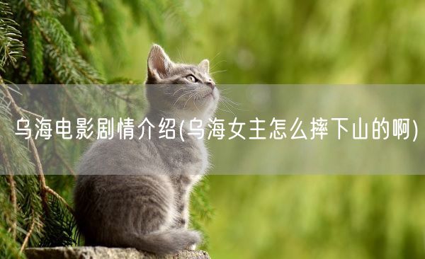 乌海电影剧情介绍(乌海女主怎么摔下山的啊)(图1) 乌海电影剧情介绍(乌海女主怎么摔下山的啊)(图1)