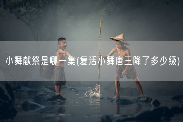 小舞献祭是哪一集(复活小舞唐三降了多少级)(图1) 小舞献祭是哪一集(复活小舞唐三降了多少级)(图1)