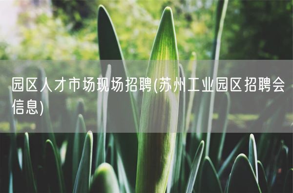 园区人才市场现场招聘(苏州工业园区招聘会信息)(图1) 园区人才市场现场招聘(苏州工业园区招聘会信息)(图1)