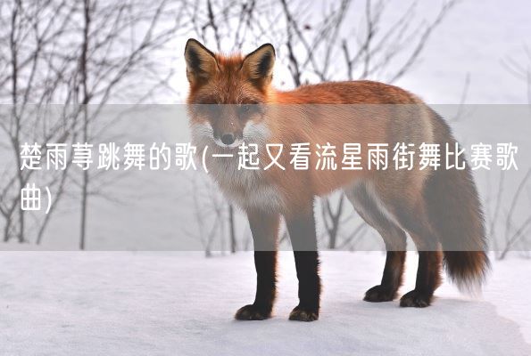 楚雨荨跳舞的歌(一起又看流星雨街舞比赛歌曲)(图1)