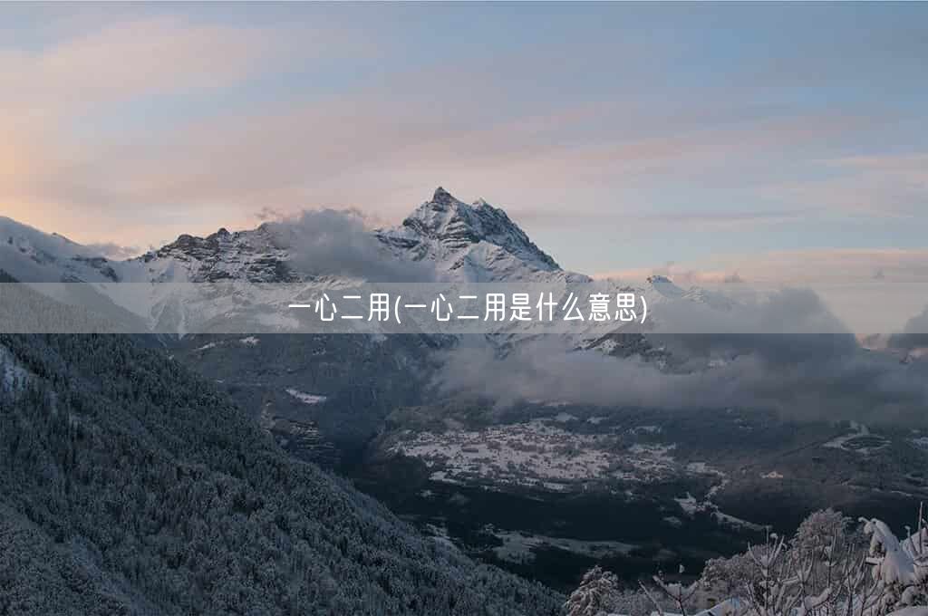 一心二用(一心二用是什么意思)(图1)