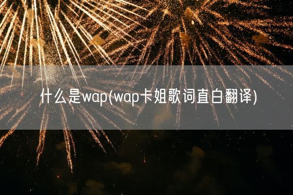 什么是wap(wap卡姐歌词直白翻译)(图1)