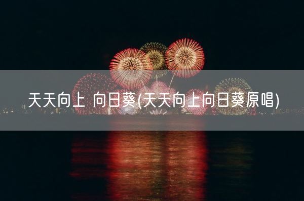 天天向上 向日葵(天天向上向日葵原唱)(图1)
