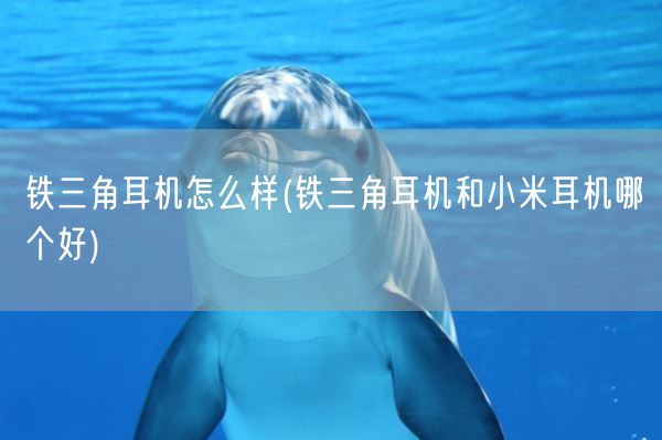 铁三角耳机怎么样(铁三角耳机和小米耳机哪个好)(图1)