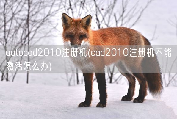 autocad2010注册机(cad2010注册机不能激活怎么办)(图1)