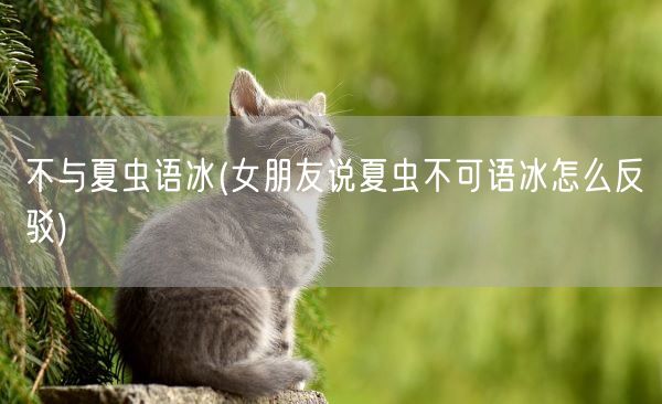 不与夏虫语冰(女朋友说夏虫不可语冰怎么反驳)(图1)