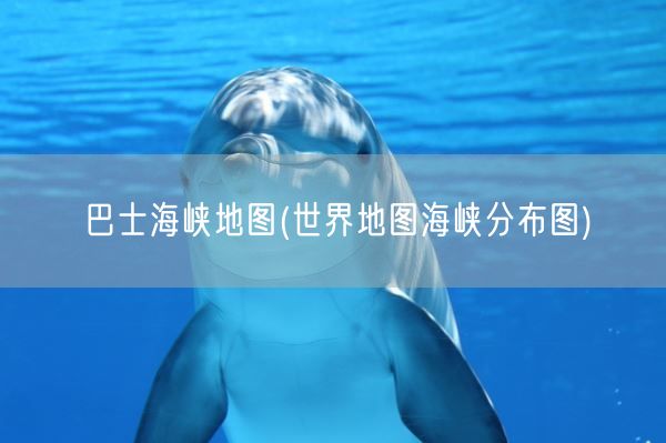 巴士海峡地图(世界地图海峡分布图)(图1)