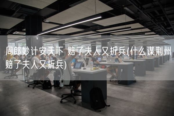 周郎妙计安天下 赔了夫人又折兵(什么谋荆州赔了夫人又折兵)(图1)