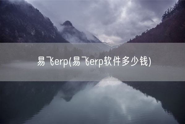 易飞erp(易飞erp软件多少钱)(图1)