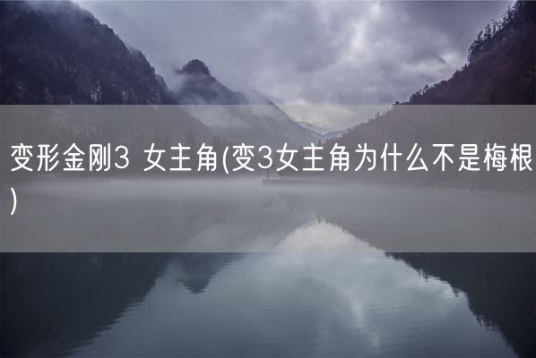 变形金刚3 女主角(变3女主角为什么不是梅根)(图1)