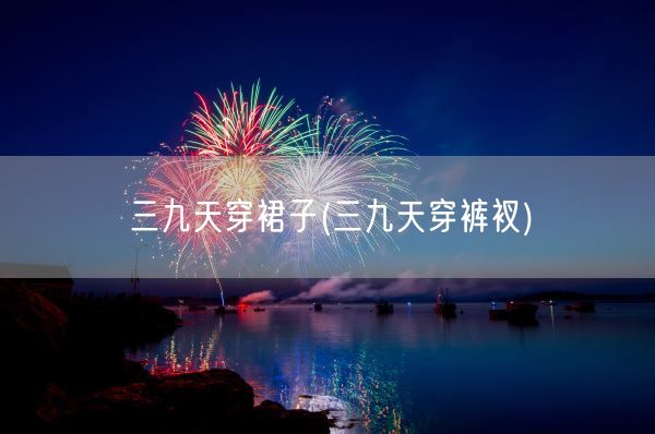 三九天穿裙子(三九天穿裤衩)(图1)