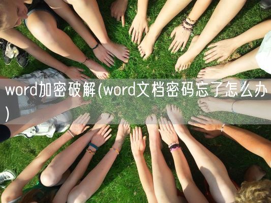 word加密破解(word文档密码忘了怎么办)(图1)