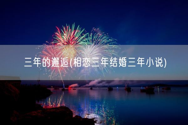 三年的邂逅(相恋三年结婚三年小说)(图1)