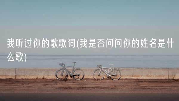 我听过你的歌歌词(我是否问问你的姓名是什么歌)(图1)