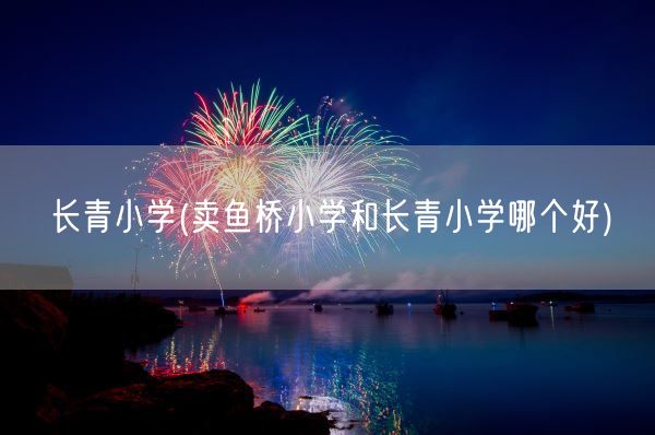 长青小学(卖鱼桥小学和长青小学哪个好)(图1)