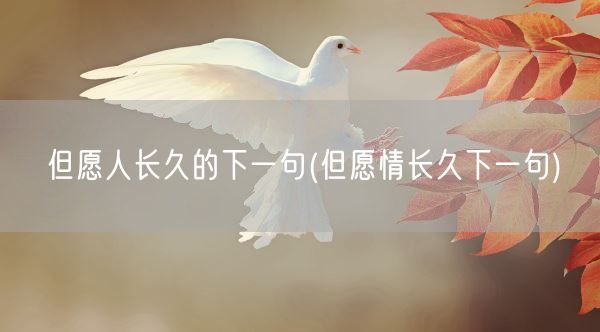但愿人长久的下一句(但愿情长久下一句)(图1)
