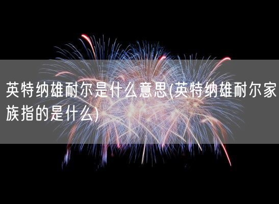 英特纳雄耐尔是什么意思(英特纳雄耐尔家族指的是什么)(图1) 英特纳雄耐尔是什么意思(英特纳雄耐尔家族指的是什么)(图1)