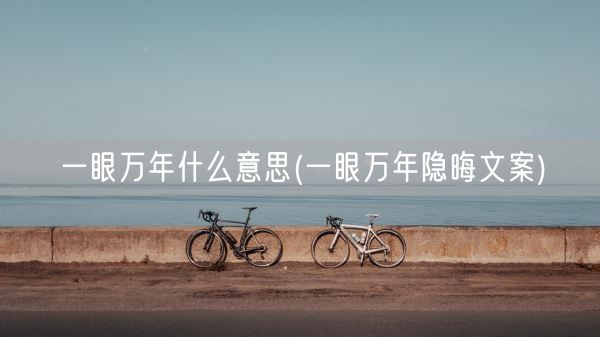 一眼万年什么意思(一眼万年隐晦文案)(图1)