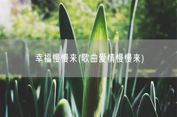 幸福慢慢来(歌曲爱情慢慢来)(图1)