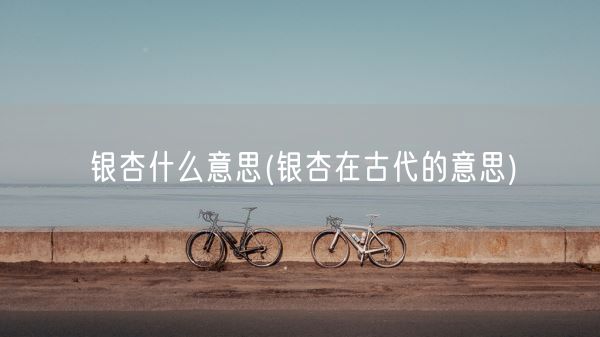 银杏什么意思(银杏在古代的意思)(图1)