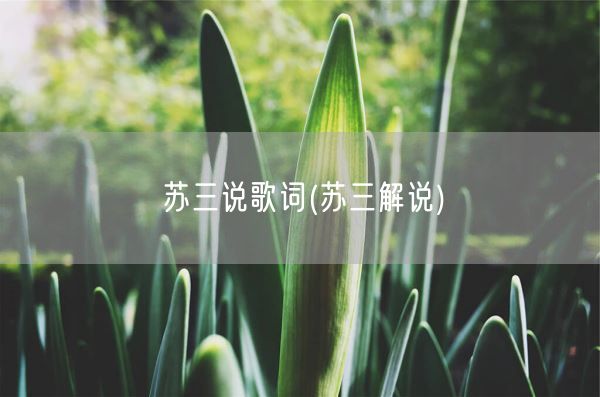 苏三说歌词(苏三解说)(图1) 苏三说歌词(苏三解说)(图1)