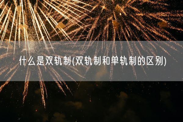 什么是双轨制(双轨制和单轨制的区别)(图1) 什么是双轨制(双轨制和单轨制的区别)(图1)