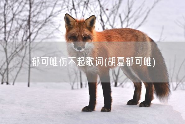 郁可唯伤不起歌词(胡夏郁可唯)(图1) 郁可唯伤不起歌词(胡夏郁可唯)(图1)