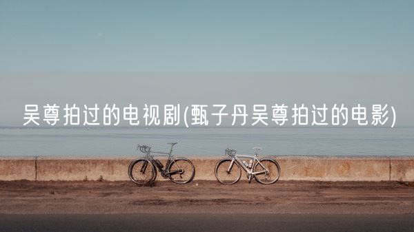 吴尊拍过的电视剧(甄子丹吴尊拍过的电影)(图1) 吴尊拍过的电视剧(甄子丹吴尊拍过的电影)(图1)