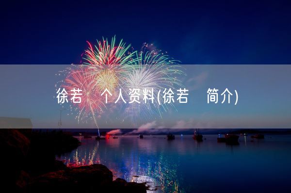 徐若瑄个人资料(徐若瑄简介)(图1)