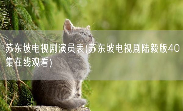 苏东坡电视剧演员表(苏东坡电视剧陆毅版40集在线观看)(图1) 苏东坡电视剧演员表(苏东坡电视剧陆毅版40集在线观看)(图1)
