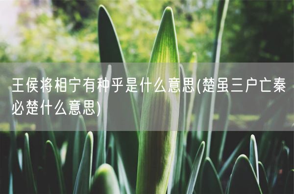 王侯将相宁有种乎是什么意思(楚虽三户亡秦必楚什么意思)(图1) 王侯将相宁有种乎是什么意思(楚虽三户亡秦必楚什么意思)(图1)