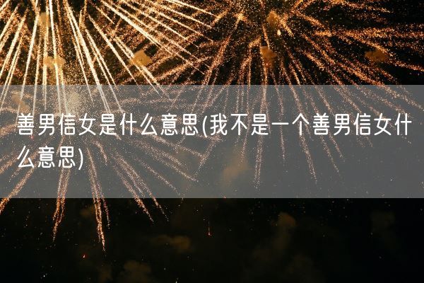 善男信女是什么意思(我不是一个善男信女什么意思)(图1)