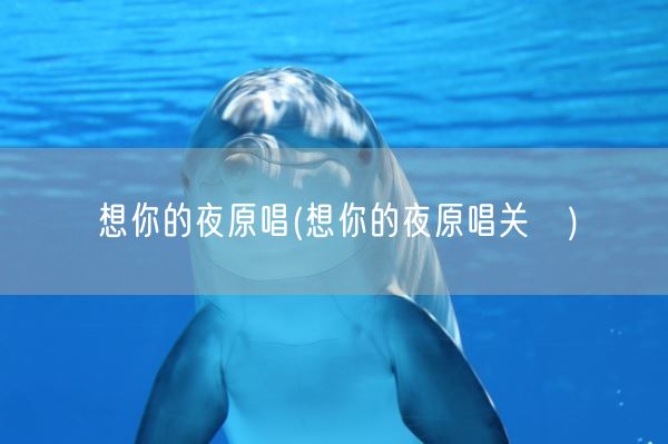 想你的夜原唱(想你的夜原唱关喆)(图1) 想你的夜原唱(想你的夜原唱关喆)(图1)