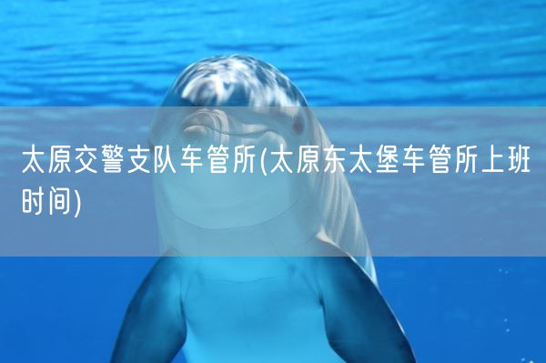 太原交警支队车管所(太原东太堡车管所上班时间)(图1)