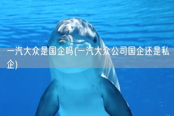 一汽大众是国企吗(一汽大众公司国企还是私企)(图1)