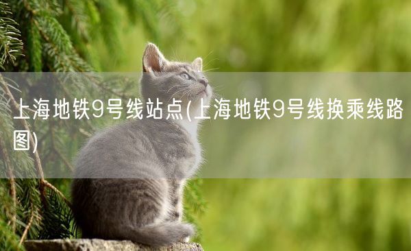 上海地铁9号线站点(上海地铁9号线换乘线路图)(图1) 上海地铁9号线站点(上海地铁9号线换乘线路图)(图1)