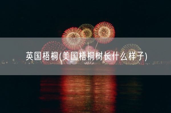 英国梧桐(美国梧桐树长什么样子)(图1)