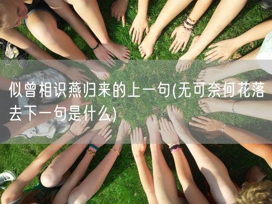 似曾相识燕归来的上一句(无可奈何花落去下一句是什么)(图1) 似曾相识燕归来的上一句(无可奈何花落去下一句是什么)(图1)