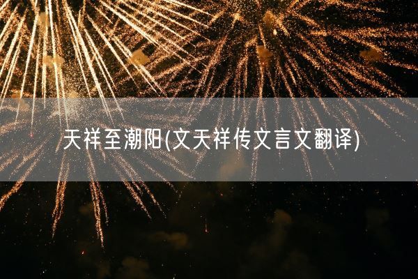 天祥至潮阳(文天祥传文言文翻译)(图1) 天祥至潮阳(文天祥传文言文翻译)(图1)