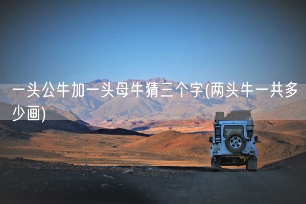 一头公牛加一头母牛猜三个字(两头牛一共多少画)(图1)