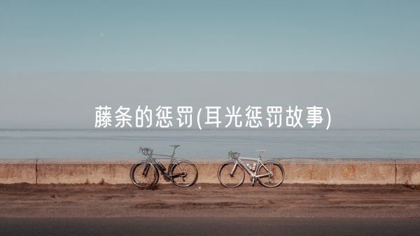 藤条的惩罚(耳光惩罚故事)(图1)