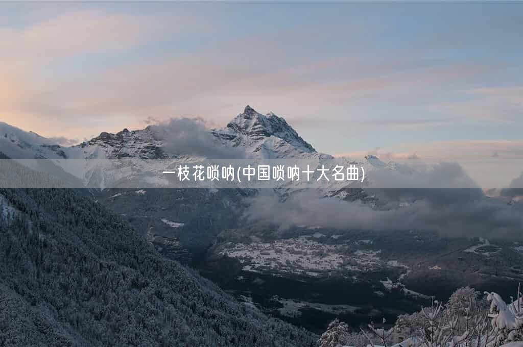 一枝花唢呐(中国唢呐十大名曲)(图1)