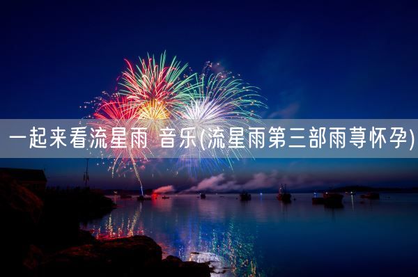 一起来看流星雨 音乐(流星雨第三部雨荨怀孕)(图1)