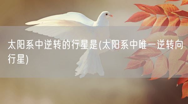 太阳系中逆转的行星是(太阳系中唯一逆转向行星)(图1) 太阳系中逆转的行星是(太阳系中唯一逆转向行星)(图1)